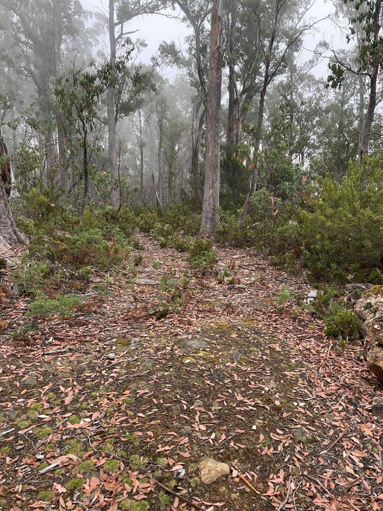 More Pleasant Track - Lake King William Circuit