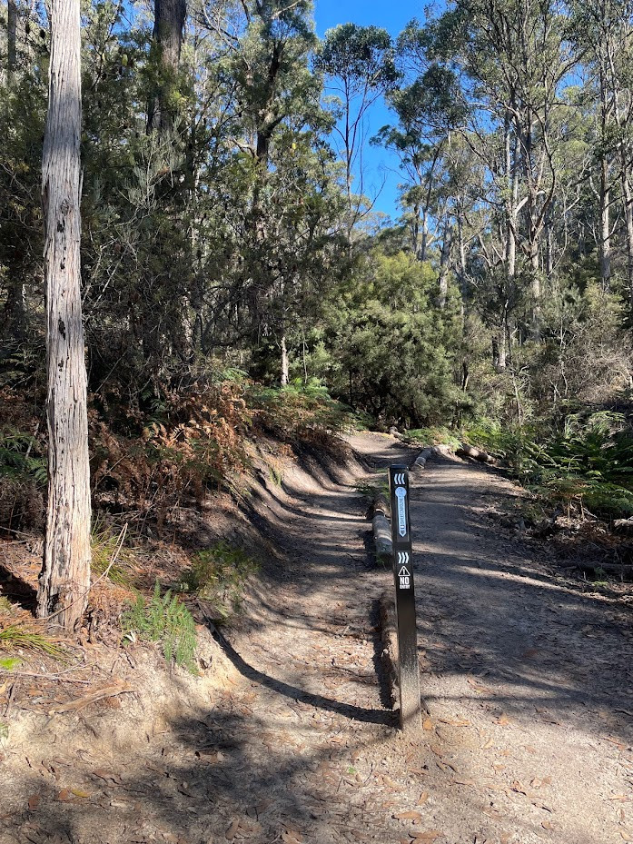 Sweet Caroline MTB Trailhead