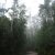 Lake Dobson (Mt Field National Park)