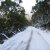 Lake Dobson (Mt Field National Park)