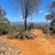 Bell Bay View - Top of East Trailhead - Mount George